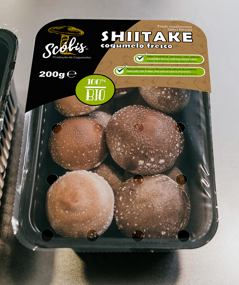 Cogumelos Biológicos Shiitake Frescos