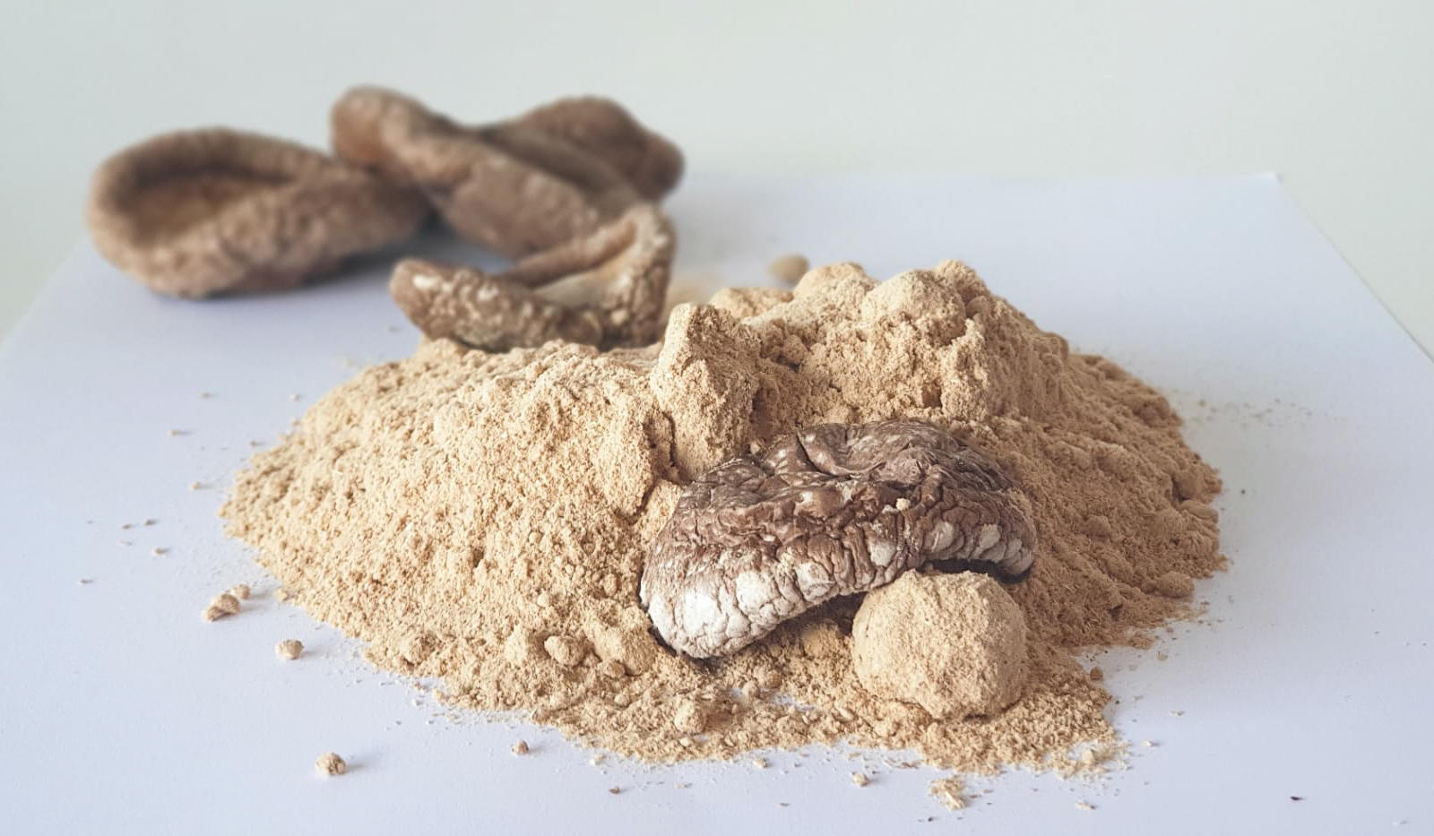 Cogumelos Biológicos Shiitake em pó