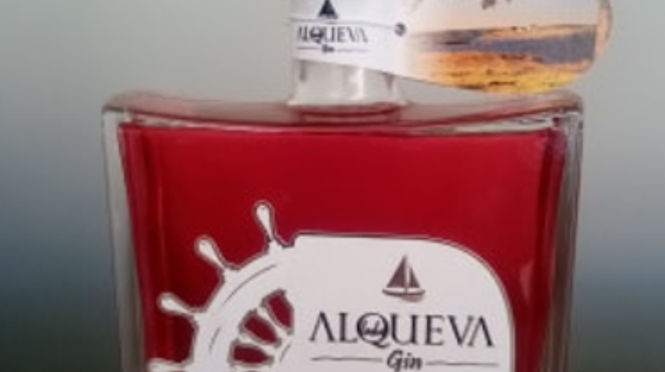 ALQUEVA GIN PINK PREMIUM