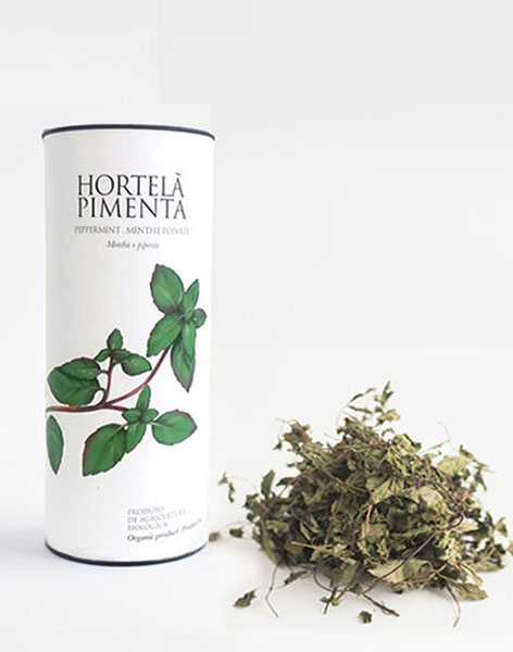 Hortelã pimenta em tubo