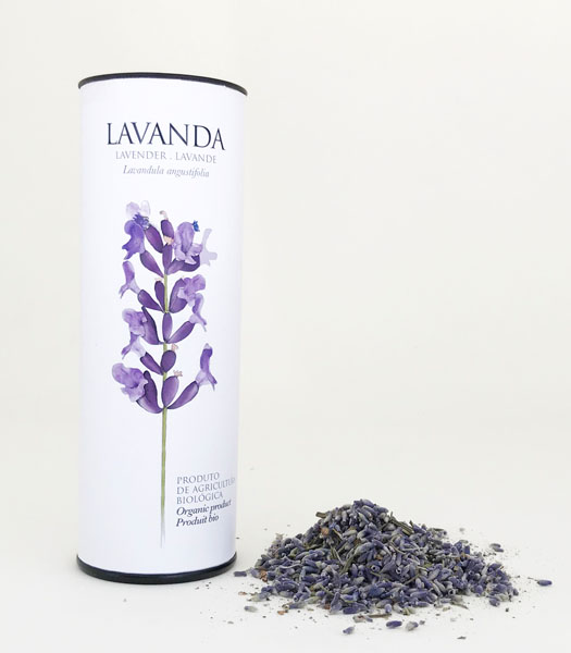 Lavanda